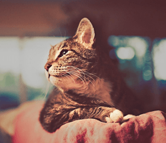 學(xué)習(xí)CAD！每天五個(gè)小技巧！這個(gè)系列趕快收藏！