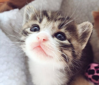 測繪CAD丨批量標(biāo)注坐標(biāo)，你不需要嗎？