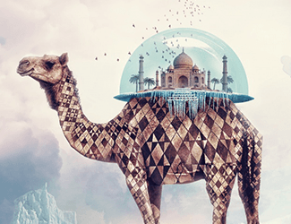 測(cè)繪CAD丨批量標(biāo)注坐標(biāo)，你不需要嗎？